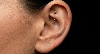 Rook