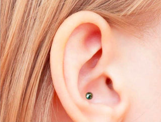 Conch